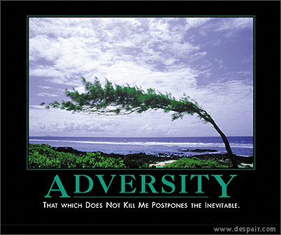 inspire-adversity.jpg
