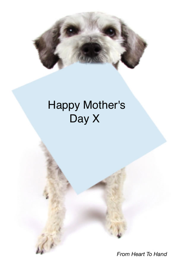 happy mothers day poems. Happy Mother#39;s Day Dog_jpeg