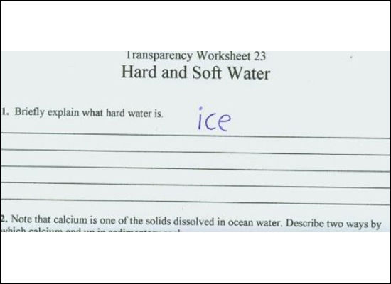 funny quotes about teachers funny quotes about teachers