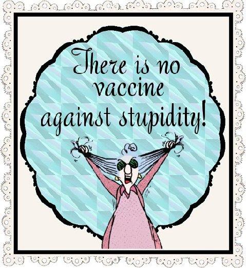 MAXINE-THEREIS NO VACCINE AGAINST STUPIDITY-Dumb Football Fan33
